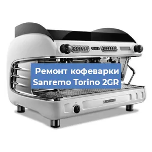 Чистка кофемашины Sanremo Torino 2GR от кофейных масел в Белгороде